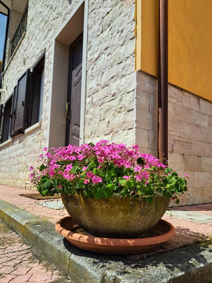 La Casa Di Mezzo-Affitti Brevi-Zona Ospedali Villa Busso Exterior photo